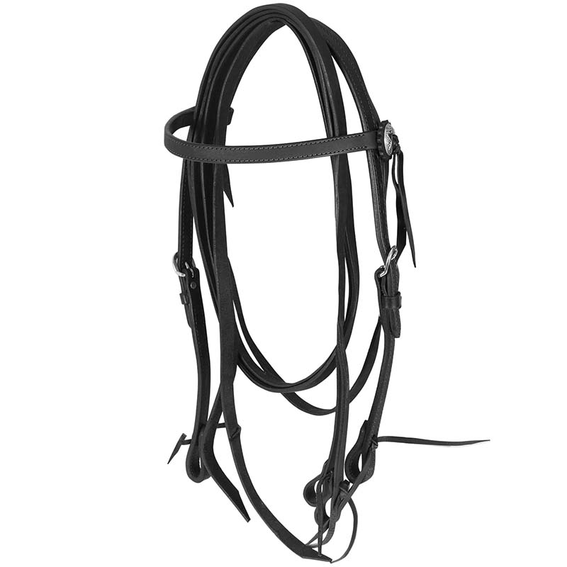 Lakota greased leather western bridle