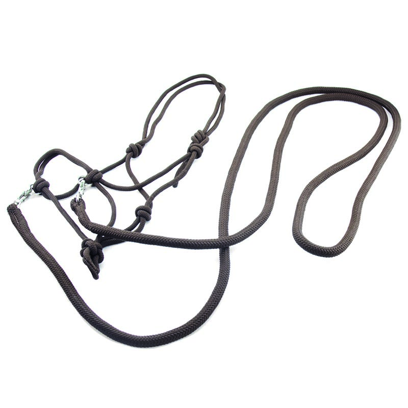 Iknotted rope and bridle and reins with snap-hook