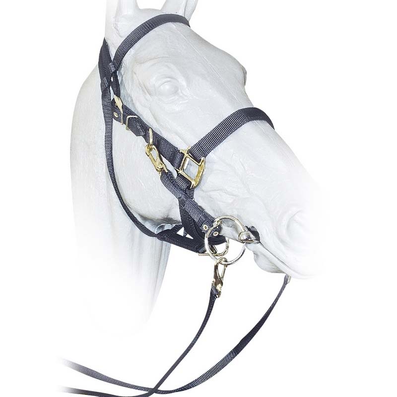 Nylon trekking bridle/halter