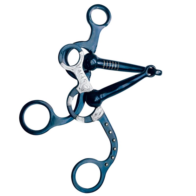 Western jointed bit with decoration and inserts