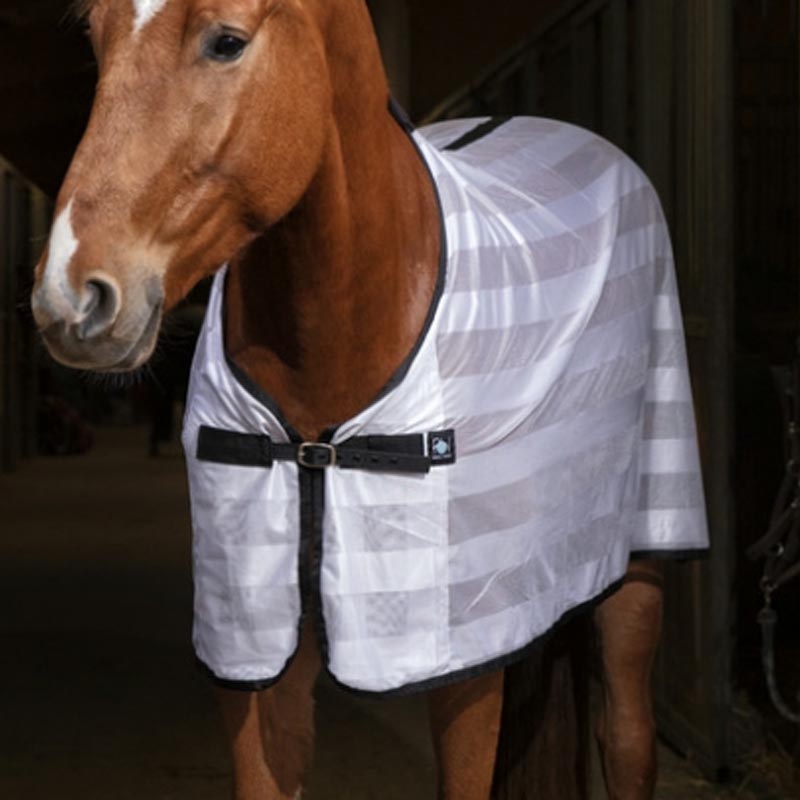 Norton net anti-flies rug