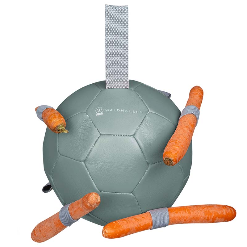 Snack ball game for horses