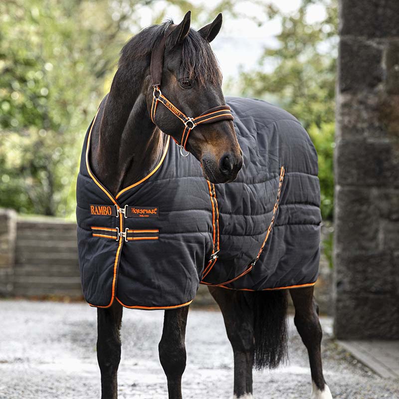 Stable rug horseware rambo stable rug 200 gr