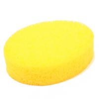 SMALL OVAL SPONGE