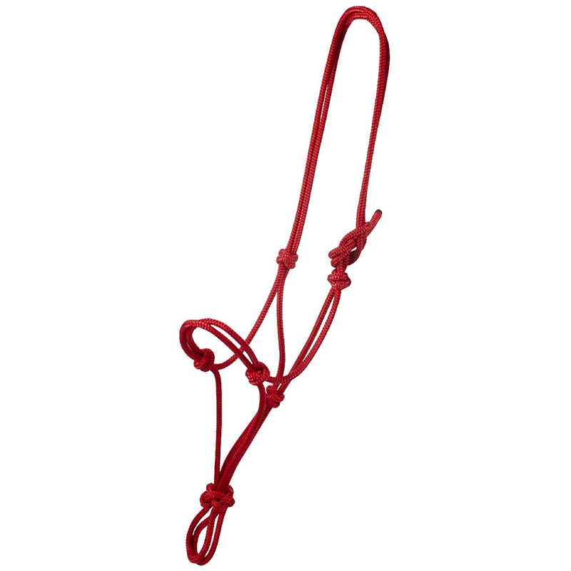 Premium halter natural horsemanship