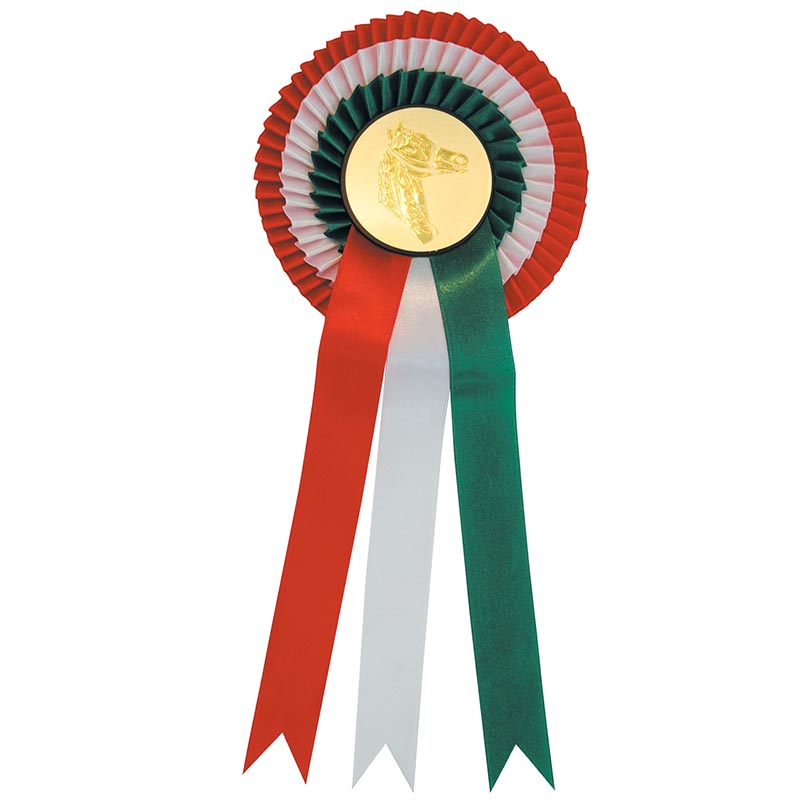 Two tones ribbon for contest and competitions
