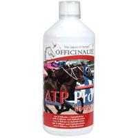 SUPPLEMENT OFFICINALIS ATP PRO ENERGY