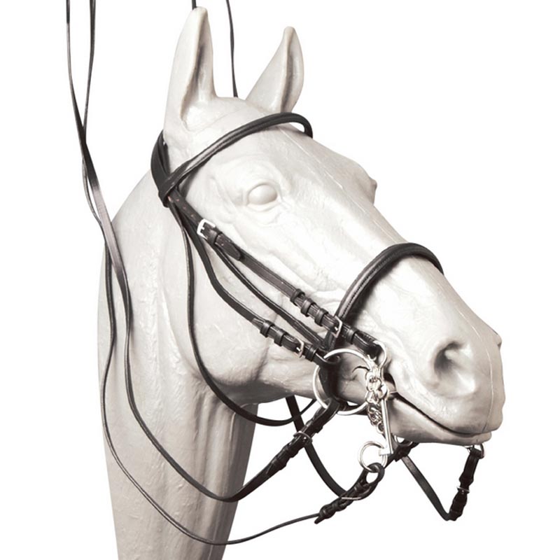 Dressage leather bridle with leather reins