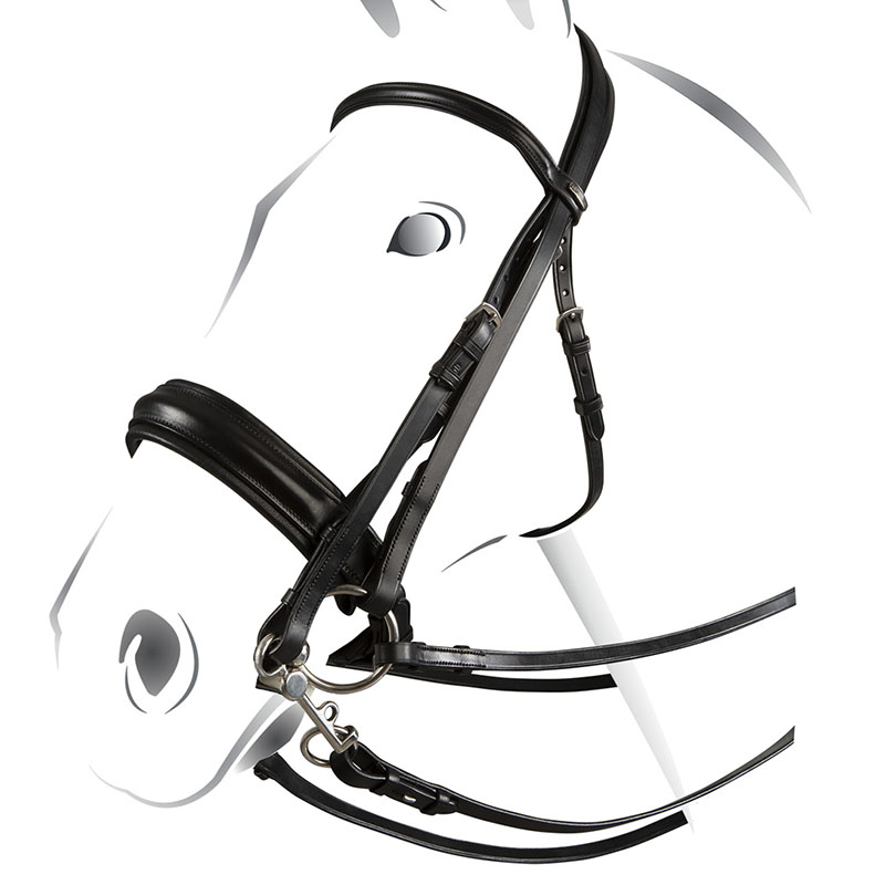 Dressage bridle equestro leather italian
