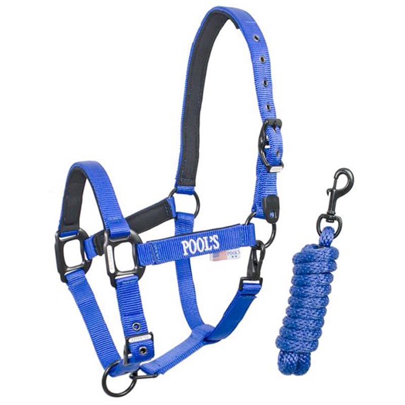 Resistant nylon halter pool's complete with longe