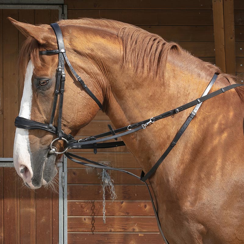 Thiedemann leather reins with rings and snap
