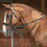 THIEDEMANN LEATHER REINS WITH RINGS AND SNAP