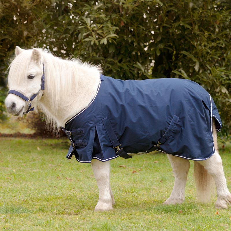 Turnout rug for pony and miniature