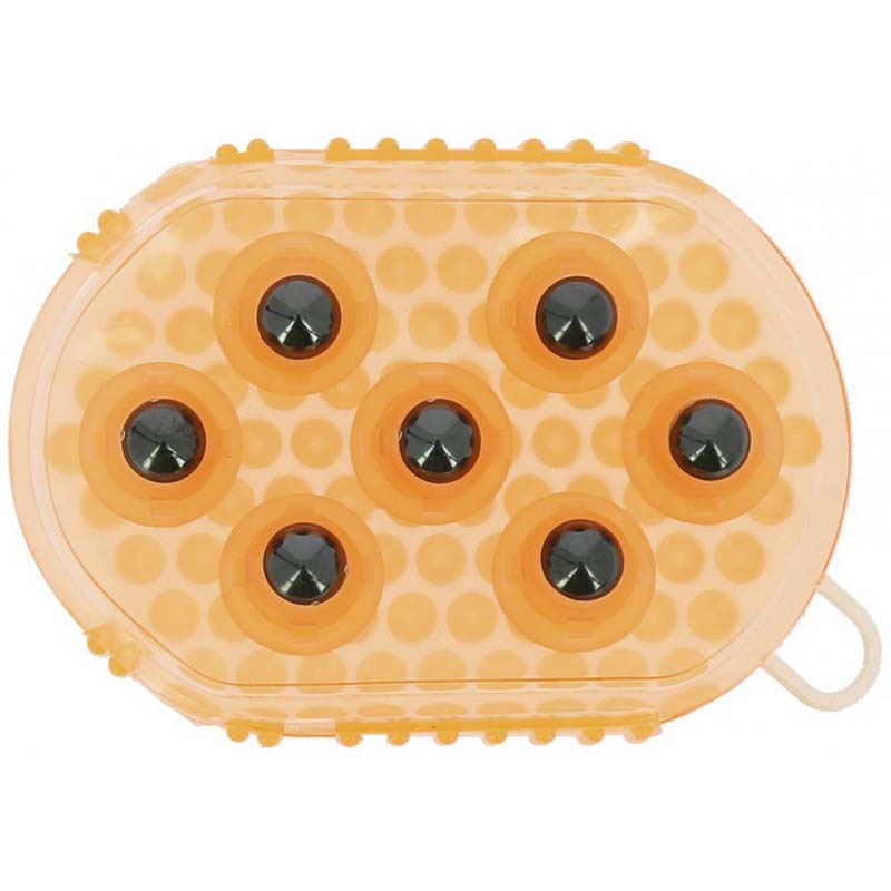 Double curry comb with points and steel balls for massage