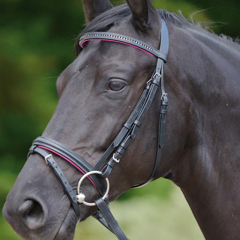 English bridle star diamond with rhinestone various color - 2330
