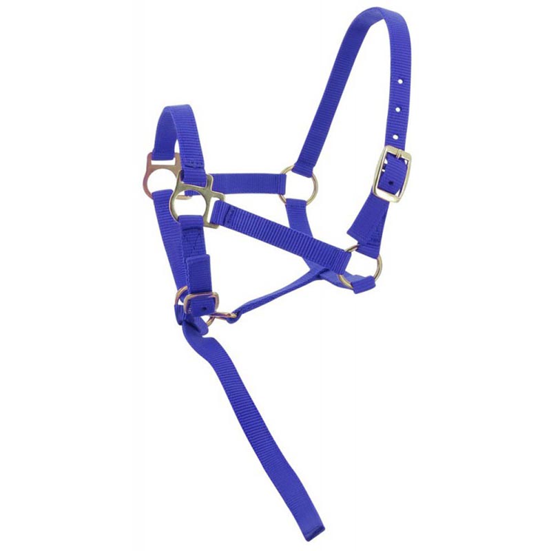 Adjustable halter for colt and foal complete with small rope