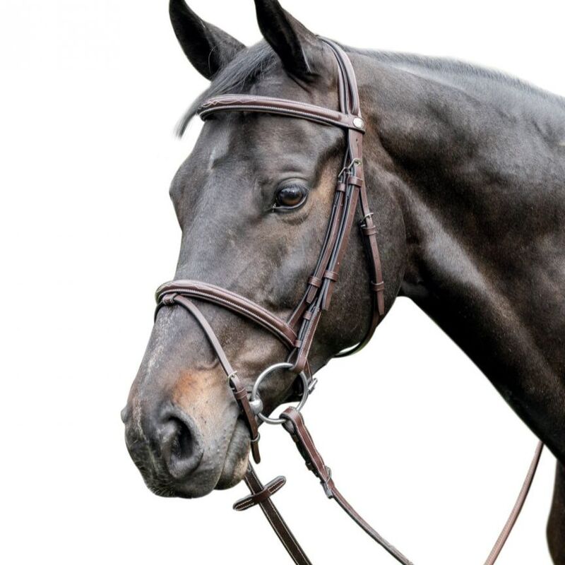 Raised leather bridle by prestige with fancy stitching e37