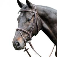 RAISED LEATHER BRIDLE BY PRESTIGE WITH FANCY STITCHING E37