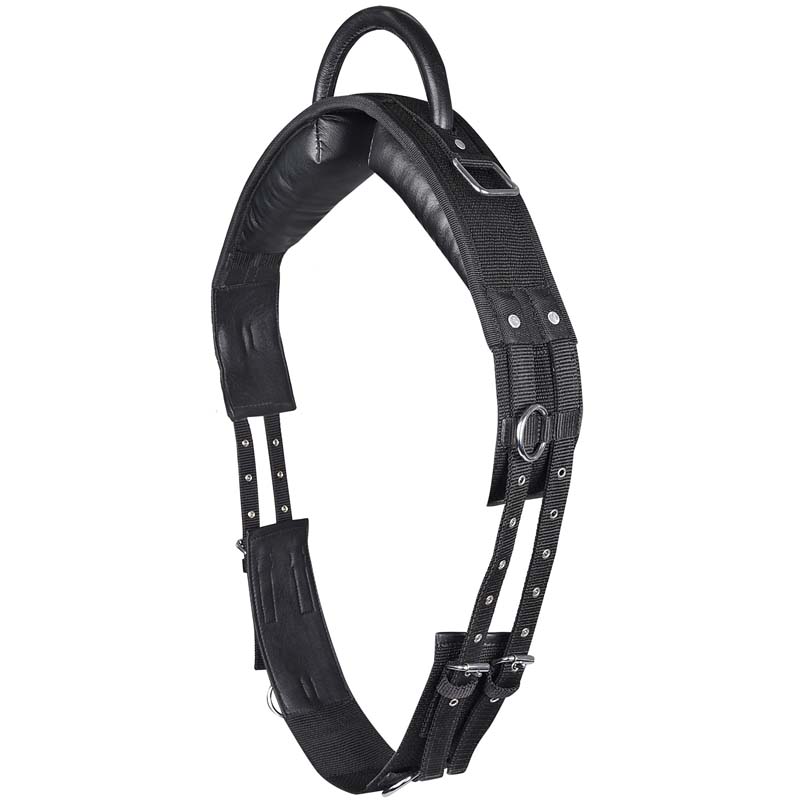 Vaulting riding roller and horse therapy with 1 single handle