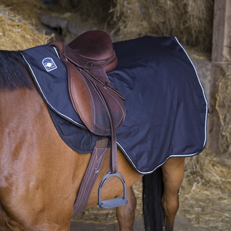 Kidney exercise rug waterproof fleece lined