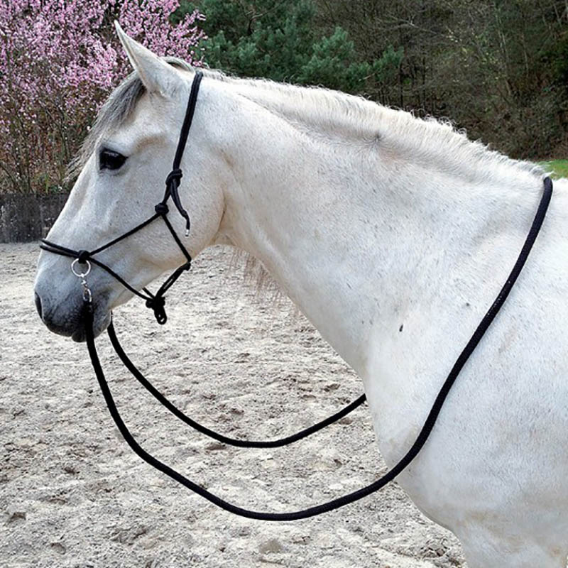 Rope halter complete with reins and carabiner