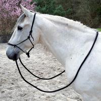 ROPE HALTER COMPLETE WITH REINS AND CARABINER