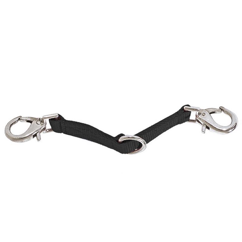 Attachment for lunging