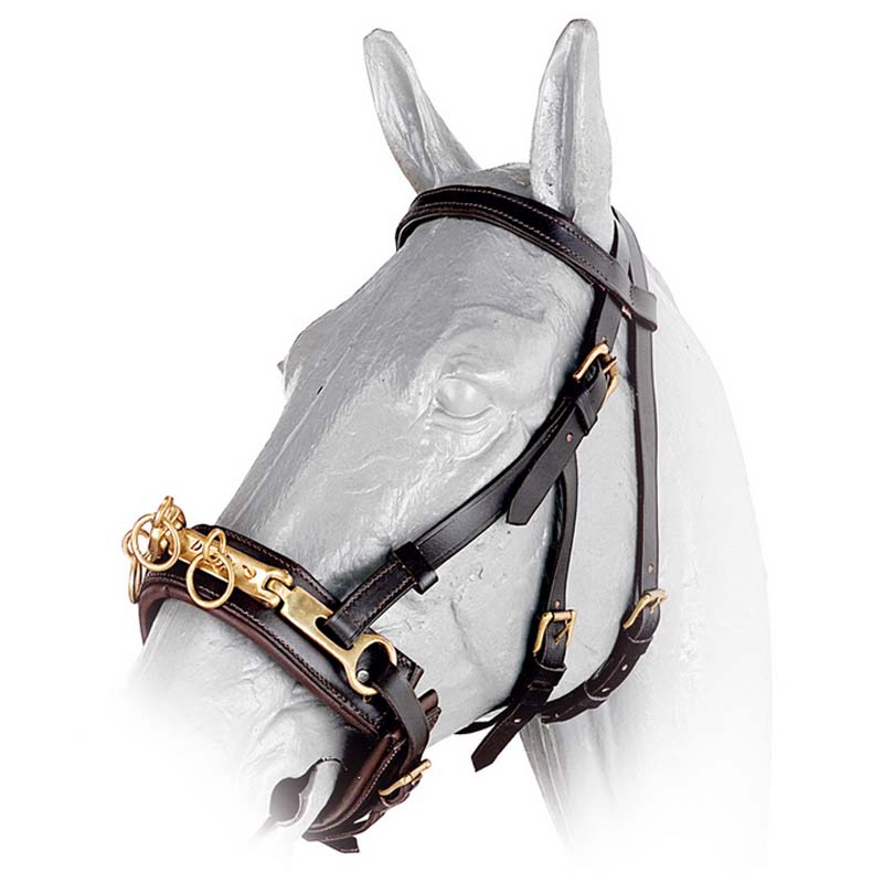 Leather cavesson