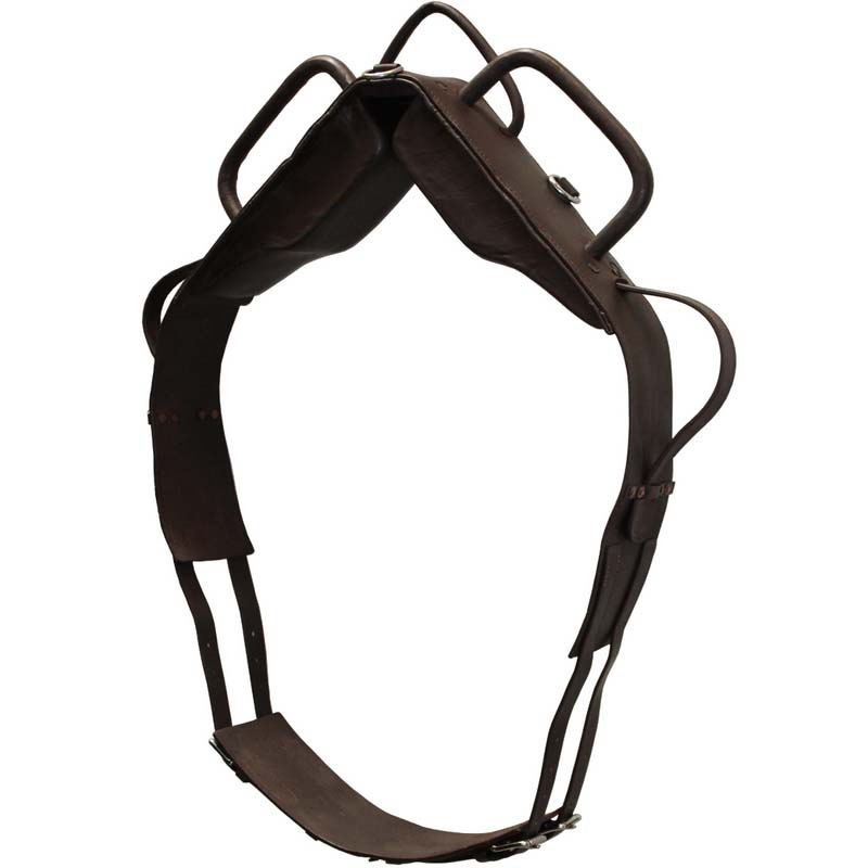 Vaulting roller