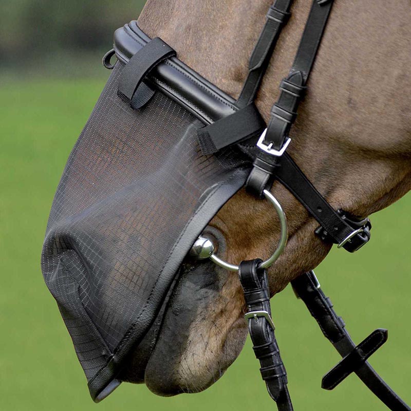 Muzzle cover net for horse to apply on bridle