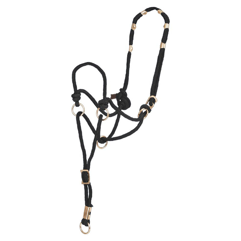 Pool's halter direction adjustable model