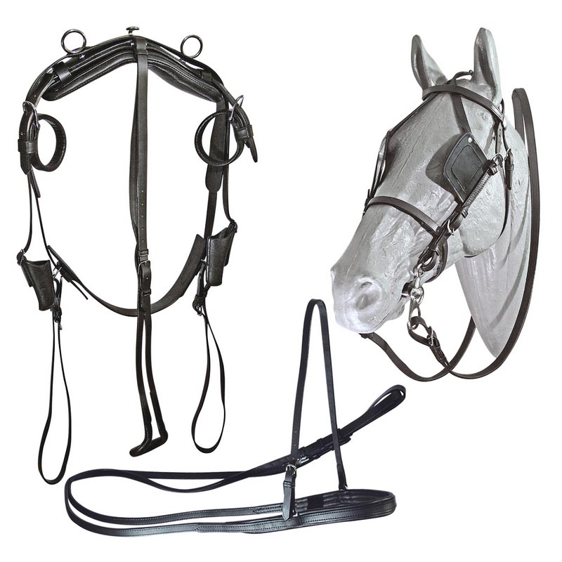 Leather breastplate harness
