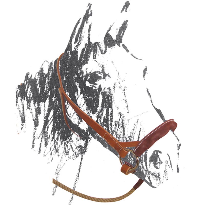Handmade maremmana type halter in leather