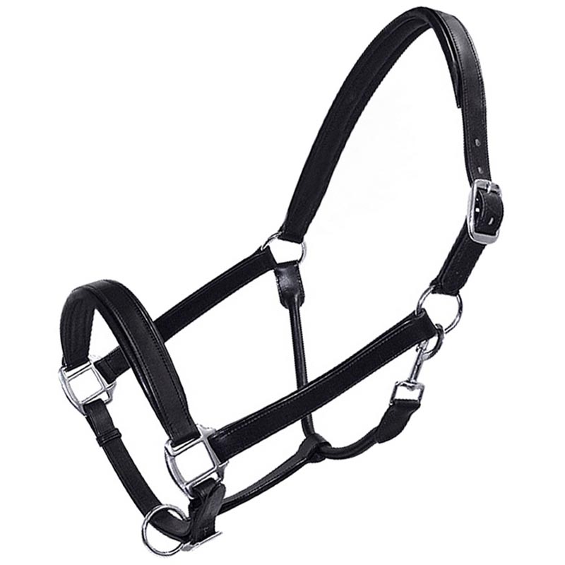 Double leather halter two adjustment