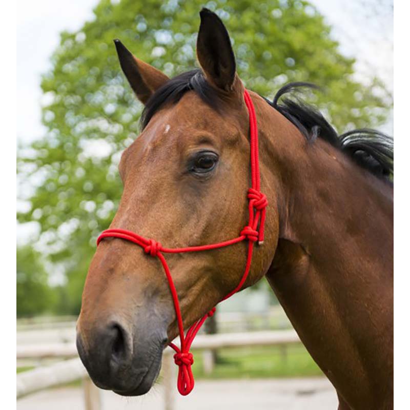 Colored synthetic rope halter adjustable with knots