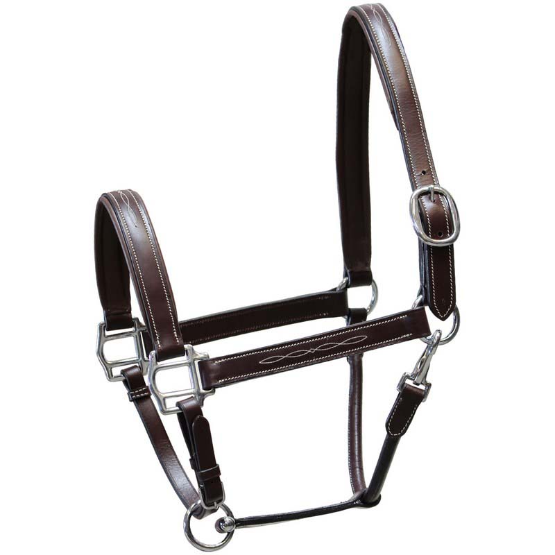 Winner leather halter with contrasting stitching