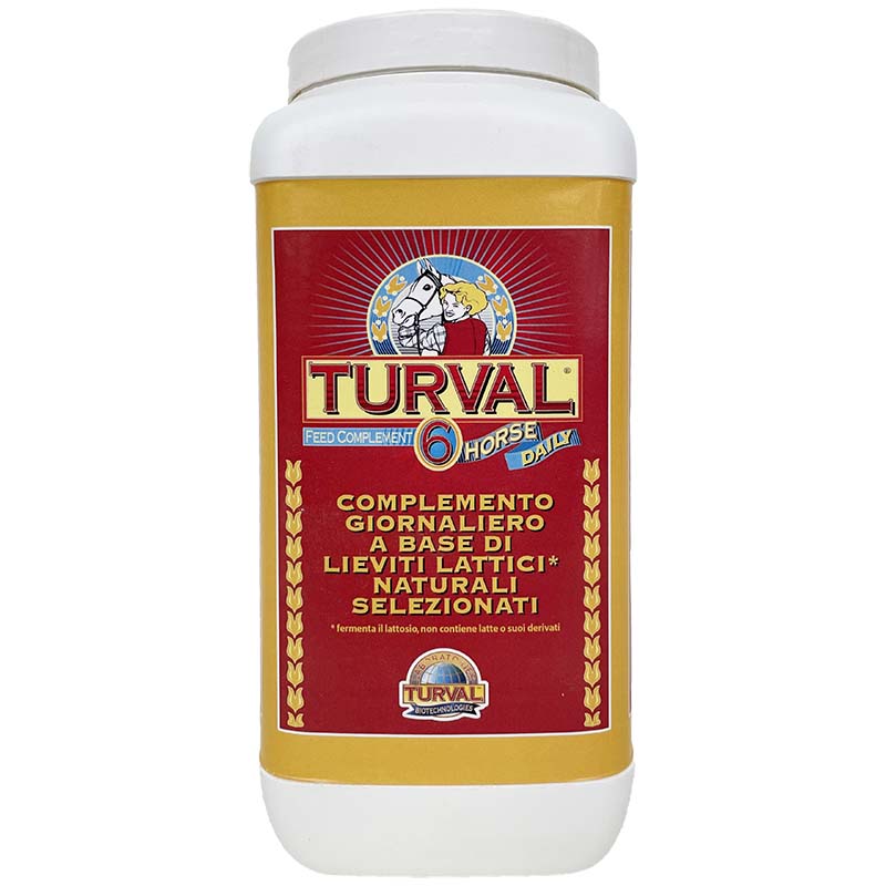 Turval 6 horse daily - intestinal bioregulator with selected natural lactic yeasts