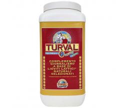TURVAL 6 HORSE DAILY - INTESTINAL BIOREGULATOR WITH SELECTED NATURAL LACTIC YEASTS - 1001