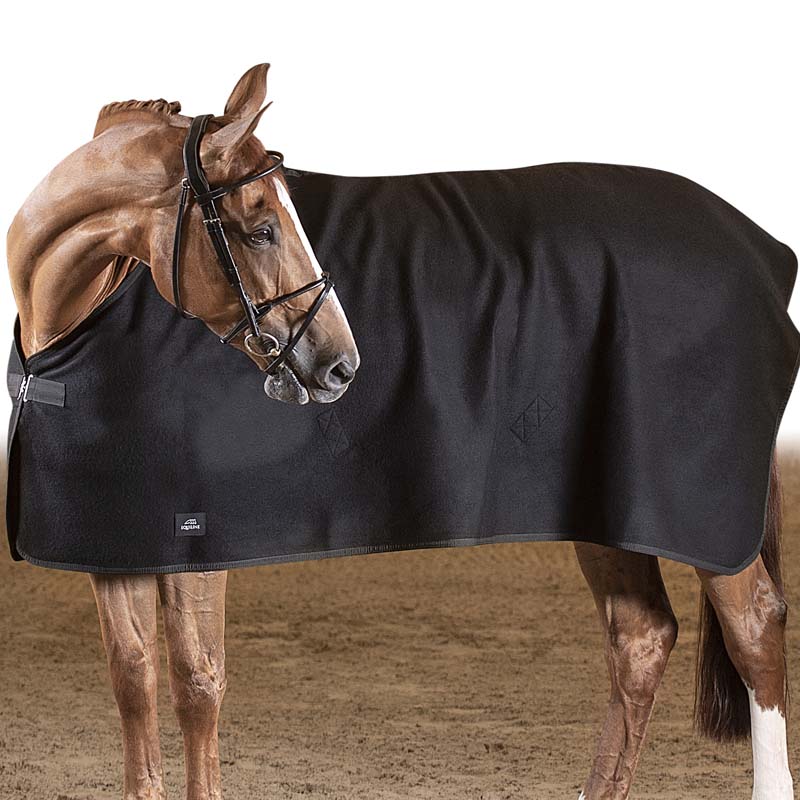 Wool horse rug equiline model wool