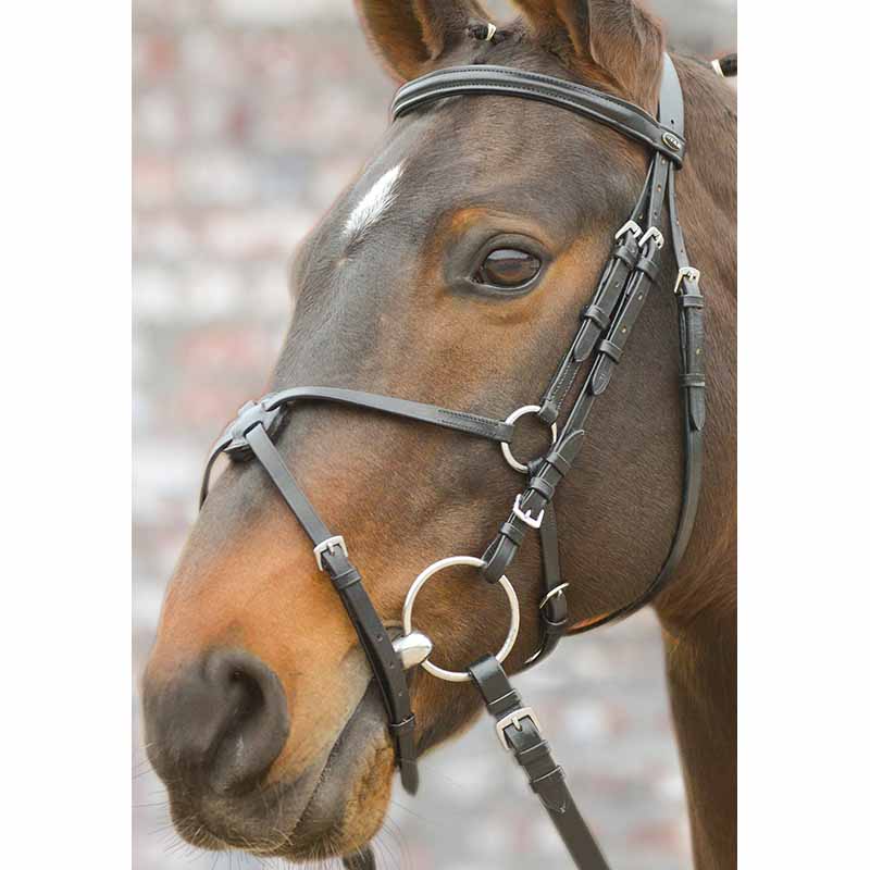 Leather english bridle model mexican