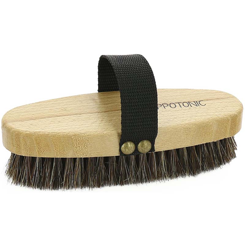 Soft hippotonic grooming brush for horse