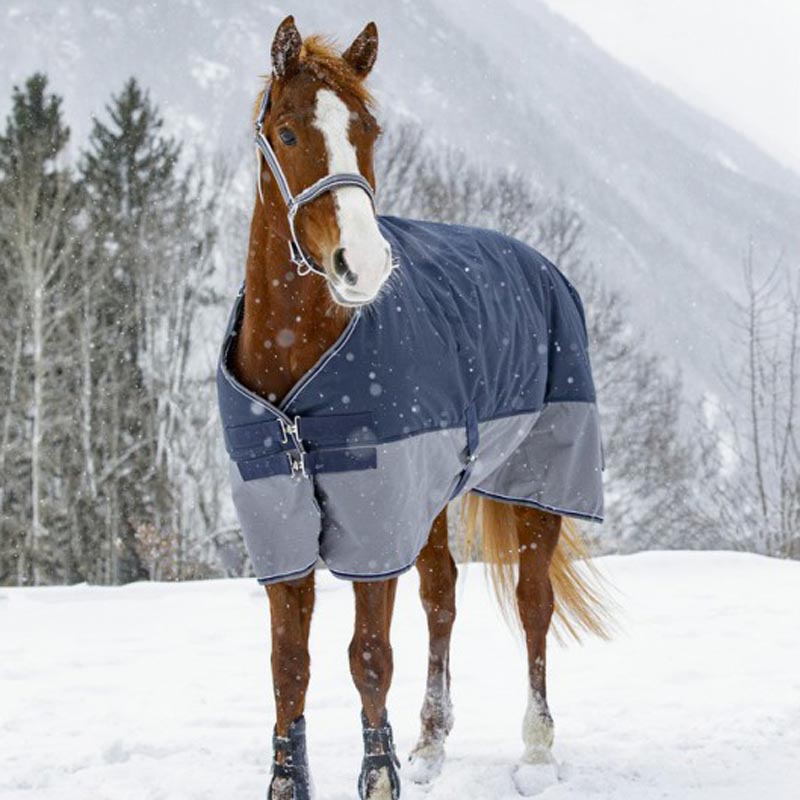 Waterproof turnout rug for horse and pony padded 300 gr