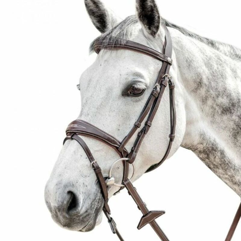 Prestige fancy stitched leather bridle e141