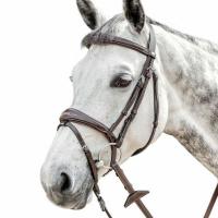 PRESTIGE FANCY STITCHED LEATHER BRIDLE E141