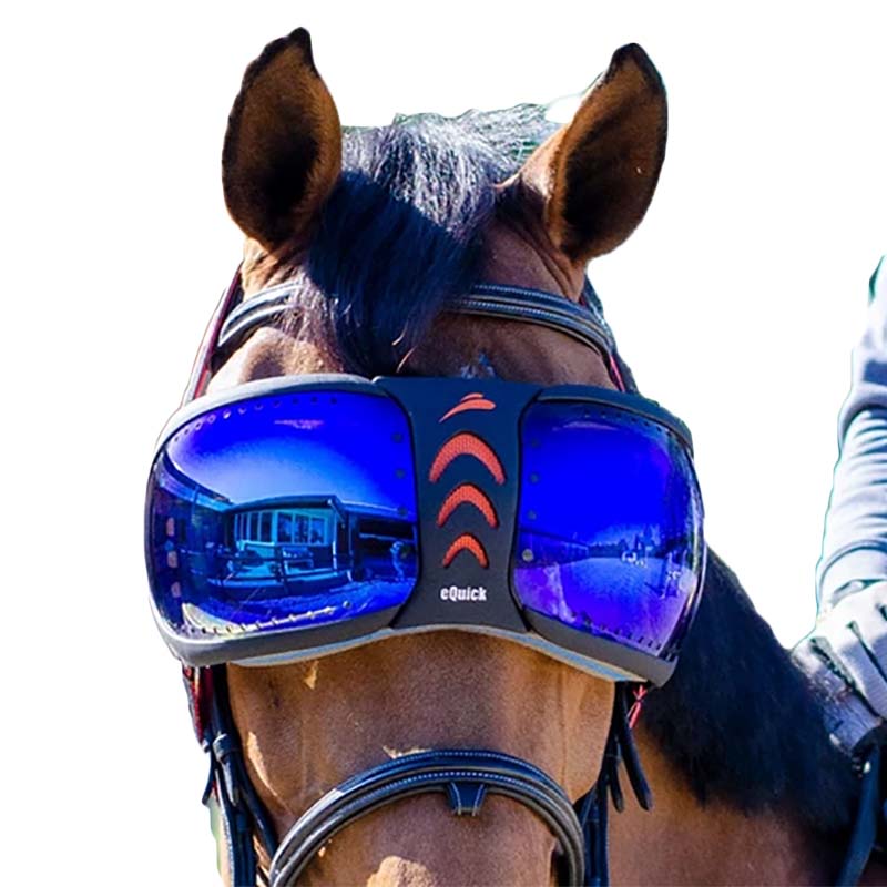 Equick evysor mirrored eye protection for horses