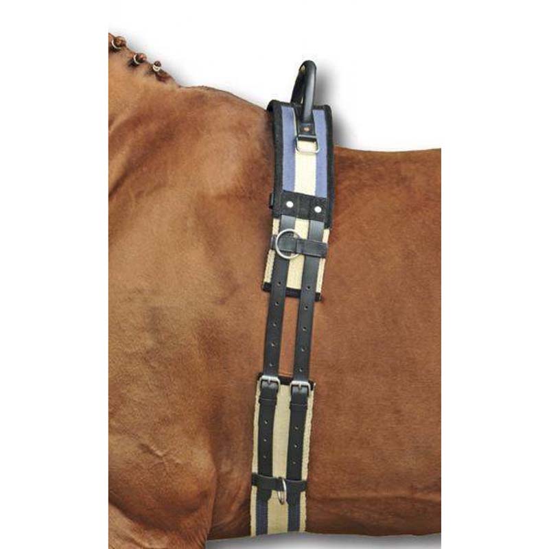 Leather hkm vaulting roller with girth