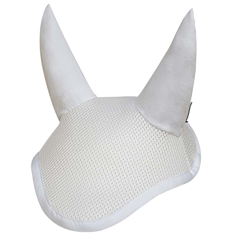 Equiline bonnet sigma model