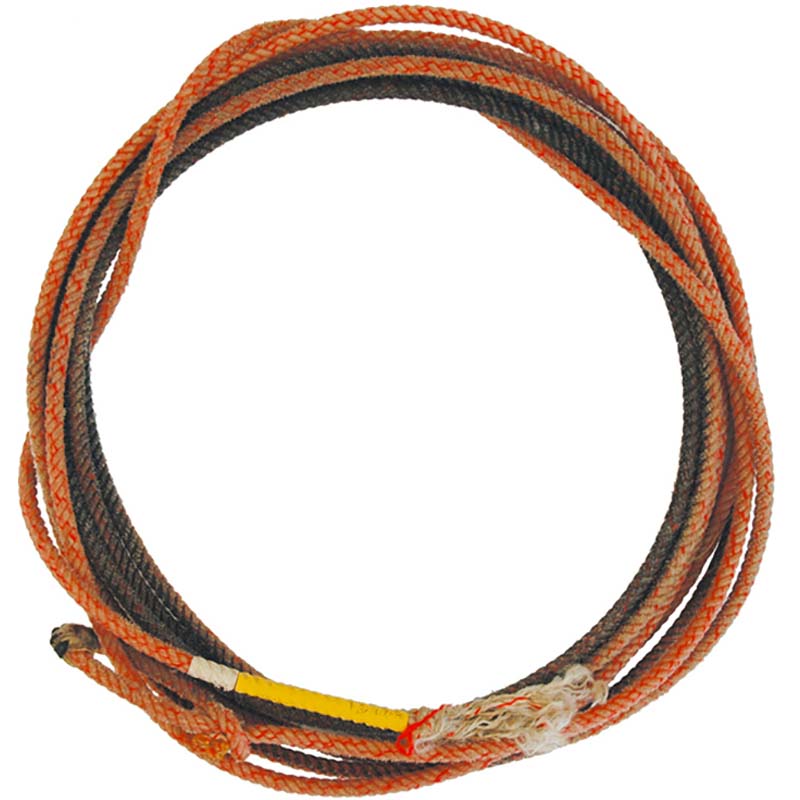 Professional usa lasso pool’s - 4010