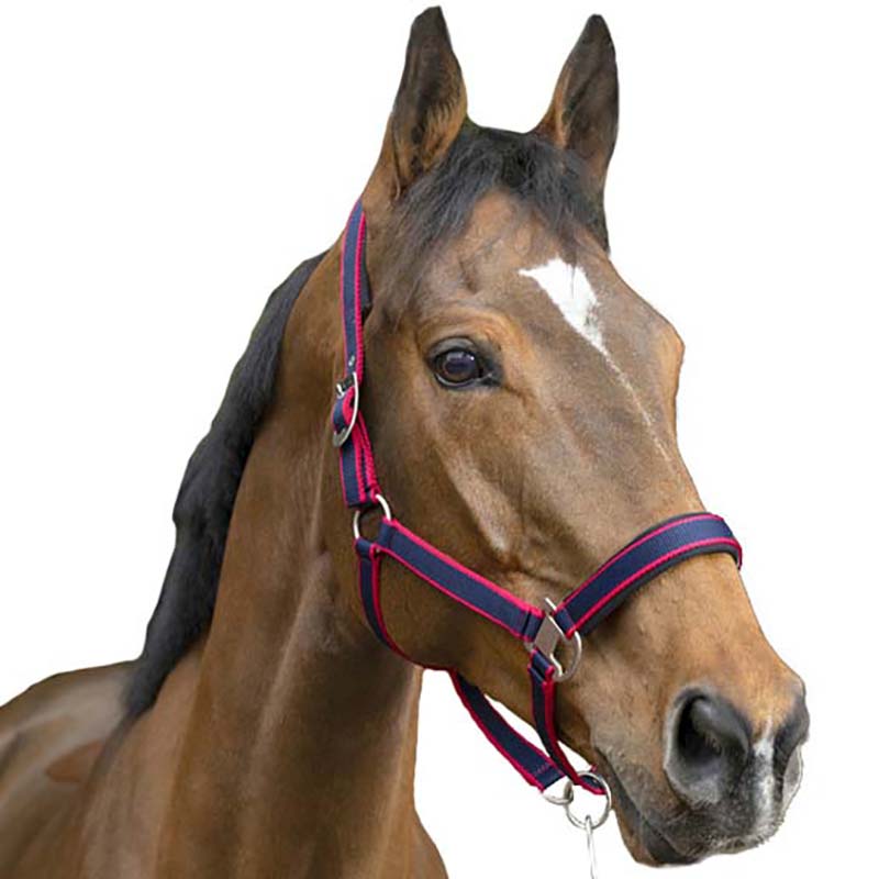 Adjustable nylon halter with lead mod. satinÉ