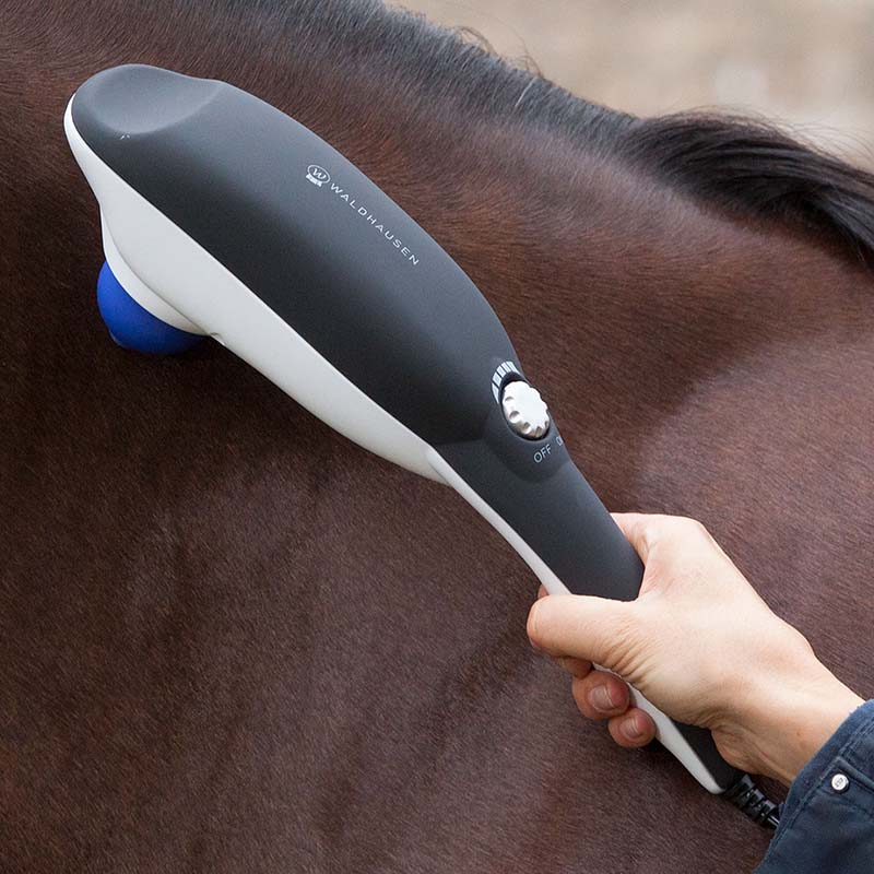 Electric horse massager super dandy go relax